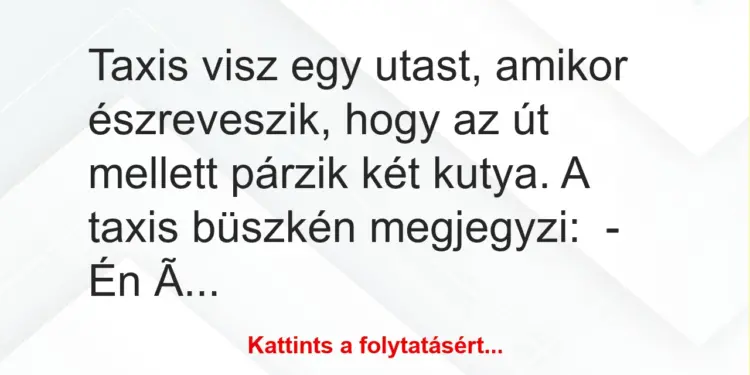 Vicc: Taxis visz egy utast, amikor észreveszik, hogy az út mellett párzik…