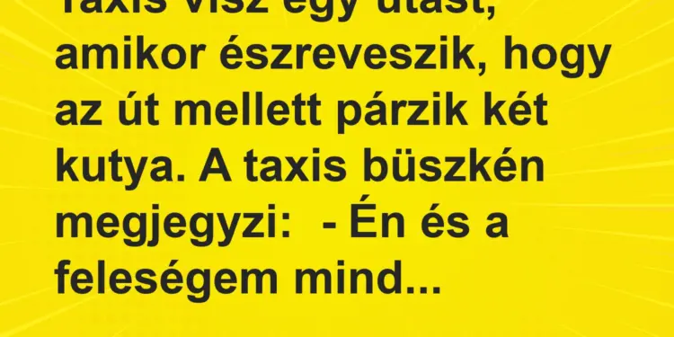 Vicc: Taxis visz egy utast, amikor észreveszik, hogy az út mellett párzik két kutya. A…