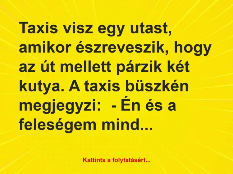 Vicc: Taxis visz egy utast, amikor észreveszik, hogy az út mellett párzik két kutya. A…