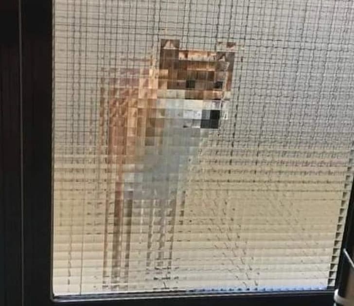 Minecraft Shiba Inu