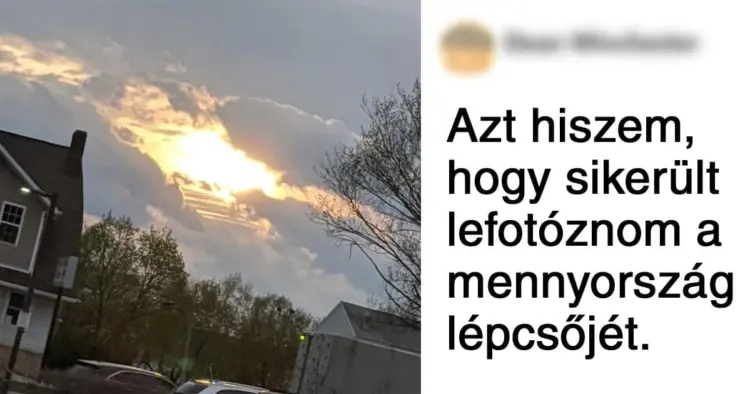 Az igazi művész az időzítés és perspektíva felsőfokú alkalmazásával készít remek fotókat