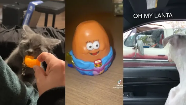 Mémek, amelyeket a TikTok tiltása előtt nézek 
 – videó