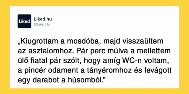 Vicc: 25+ történet, ami bizonyítja, hogy a vendéglátásnak is megvannak a…