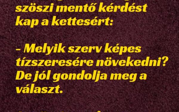 Vicc: A biológia érettségin a szöszi mentő kérdést kap a kettesért: