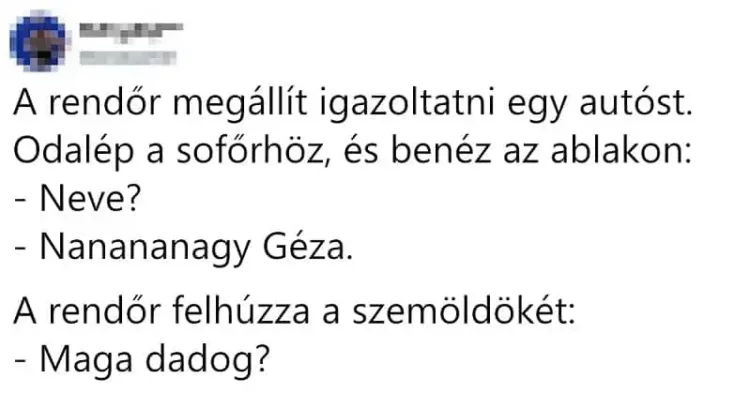 Vicc: A rendőr megállít igazoltatni egy autóst