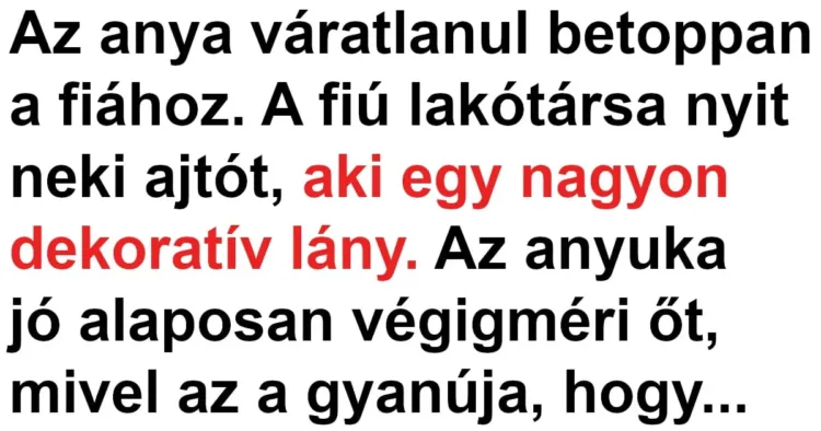 Vicc: Az anya gyanúsnak találta a fia lakótársát