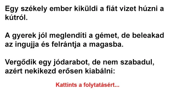 Vicc: Egy székely ember kiküldi a fiát vizet húzni a kútról.