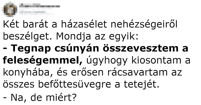 Vicc: Két barát a házasélet nehézségeiről beszélget