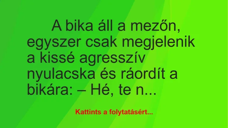 Vicc: A bika áll a mezőn, egyszer csak megjelenik a kissé agresszív…