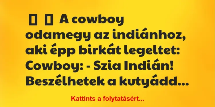 Vicc:
A cowboy odamegy az indiánhoz, aki épp birkát…