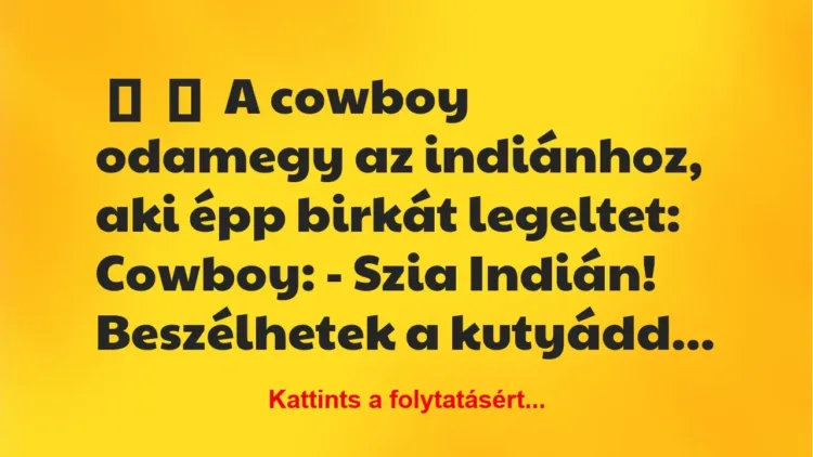 Vicc: 
	    	    A cowboy odamegy az indiánhoz, aki épp birkát…