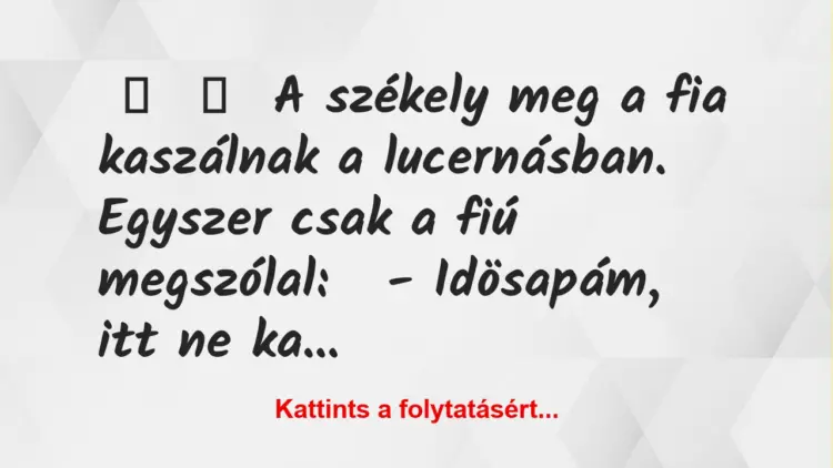 Vicc:
A székely meg a fia kaszálnak a lucernásban.Egyszer…