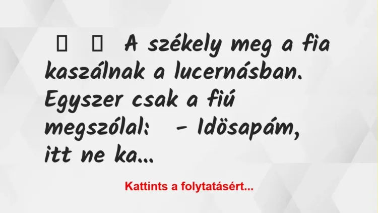 Vicc: 
	    	    A székely meg a fia kaszálnak a lucernásban.


Egyszer…