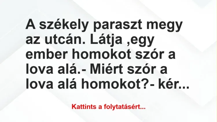 Vicc: A székely paraszt megy az utcán. Látja ,egy ember homokot szór a lova…