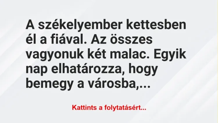 Vicc: A székelyember kettesben él a fiával. Az összes vagyonuk két malac….