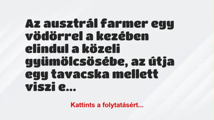 Vicc: Az ausztrál farmer egy vödörrel a kezében elindul a közeli…