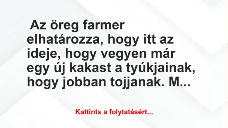 Vicc: Az öreg farmer elhatározza