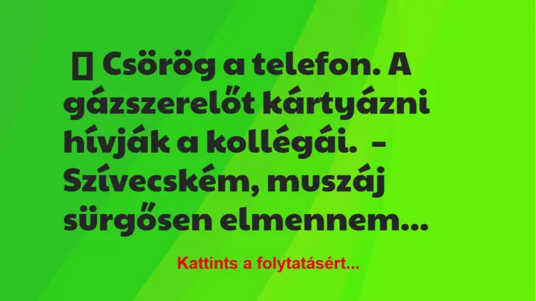 Vicc: Csörög a telefon. A gázszerelőt kártyázni hívják a kollégái.