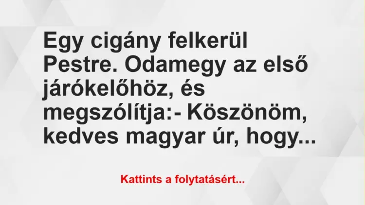 Vicc: Egy cigány felkerül Pestre. Odamegy az első járókelőhöz, és…