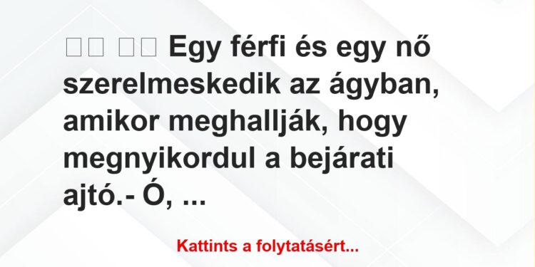 Vicc:
Egy férfi és egy nő szerelmeskedik az ágyban,…