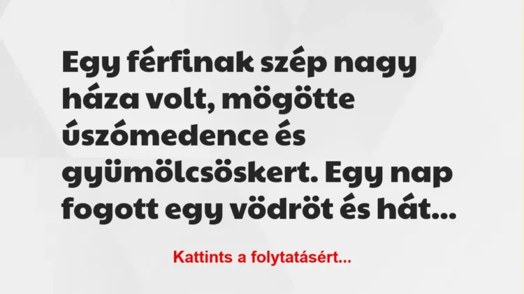 Vicc: Egy férfinak szép nagy háza volt, mögötte úszómedence és…