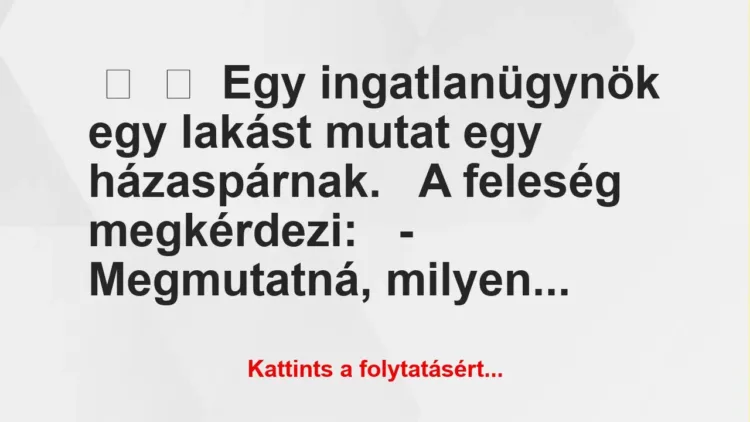 Vicc: 
	    	    Egy ingatlanügynök egy lakást mutat egy…