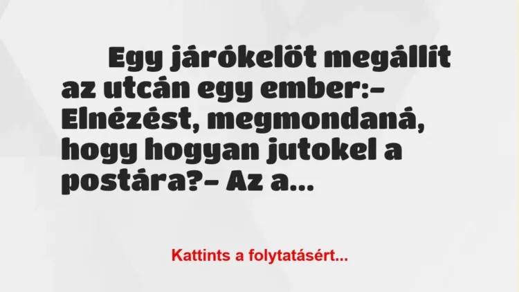 Vicc: 
		  
		  Egy járókelőt megállít az utcán egy ember:-…