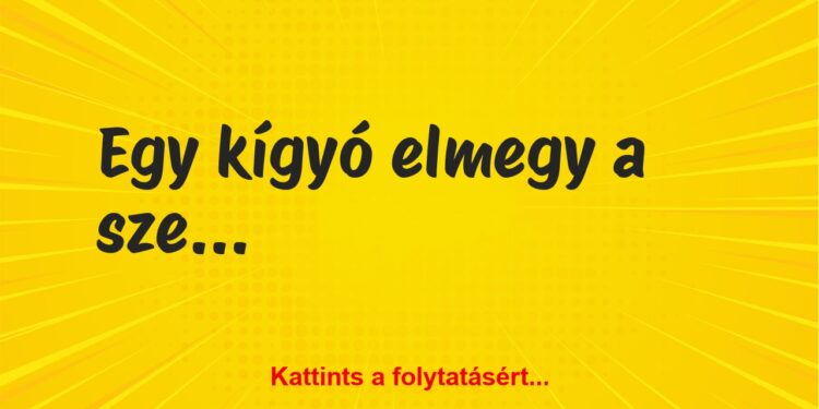 Vicc: Egy kígyó elmegy a szemorvoshoz