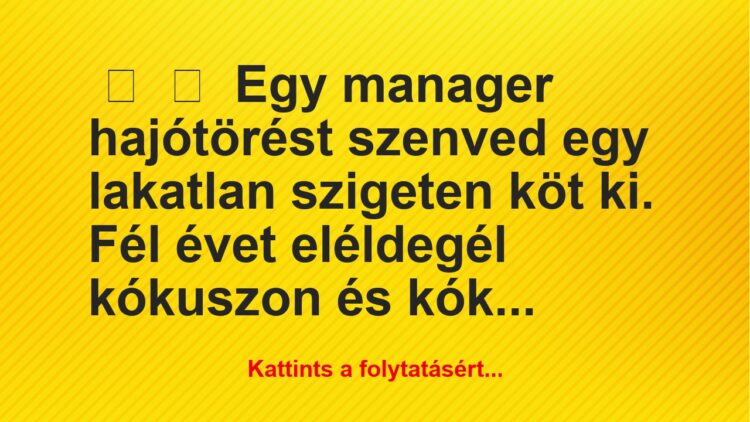 Vicc:
Egy manager hajótörést szenved egy lakatlan szigeten köt…