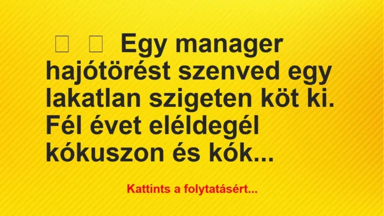 Vicc: 
	    	    Egy manager hajótörést szenved egy lakatlan szigeten köt…