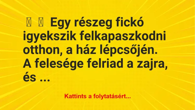 Vicc:
Egy részeg fickó igyekszik felkapaszkodni otthon, a ház…