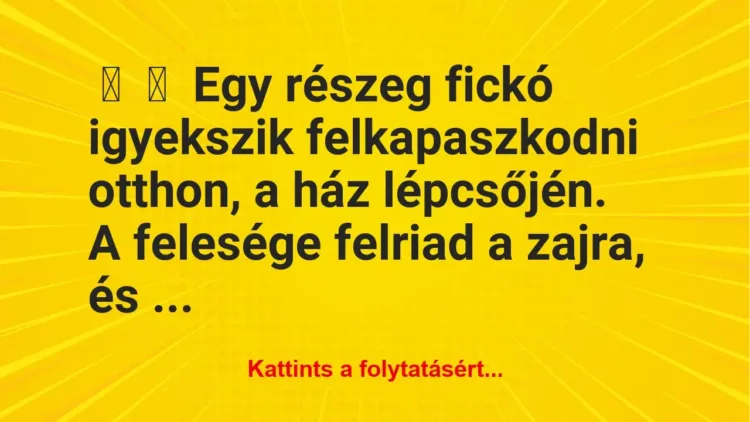 Vicc: 
	    	    Egy részeg fickó igyekszik felkapaszkodni otthon, a ház…