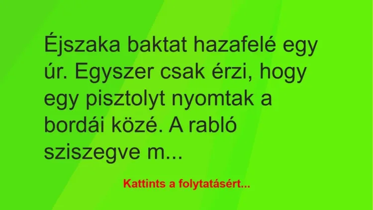 Vicc: Éjszaka baktat hazafelé egy úr. Egyszer csak érzi, hogy egy pisztolyt…