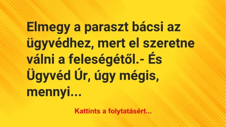 Vicc: Elmegy a paraszt bácsi az ügyvédhez, mert el szeretne válni a…