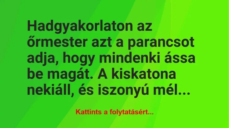 Vicc: Hadgyakorlaton az őrmester azt a parancsot adja, hogy mindenki ássa be…