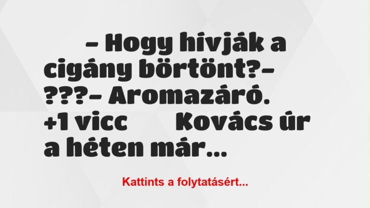 Vicc:
– Hogy hívják a cigány börtönt?- ???-…