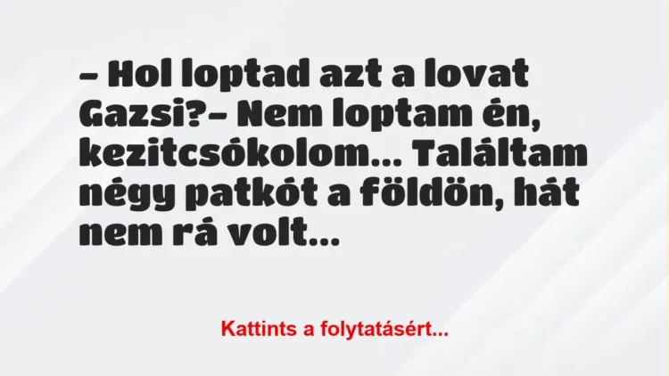 Vicc: – Hol loptad azt a lovat Gazsi?

– Nem loptam én, kezitcsókolom……