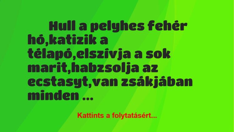 Vicc:
Hull a pelyhes fehér hó,katizik a…