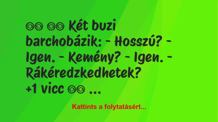 Vicc:
Két buzi barchobázik: – Hosszú? – Igen….