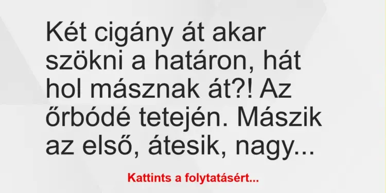 Vicc: Két cigány át akar szökni a határon, hát hol másznak át?! Az őrbódé…