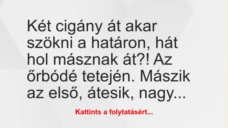 Vicc: Két cigány át akar szökni a határon, hát hol másznak át?! Az őrbódé…