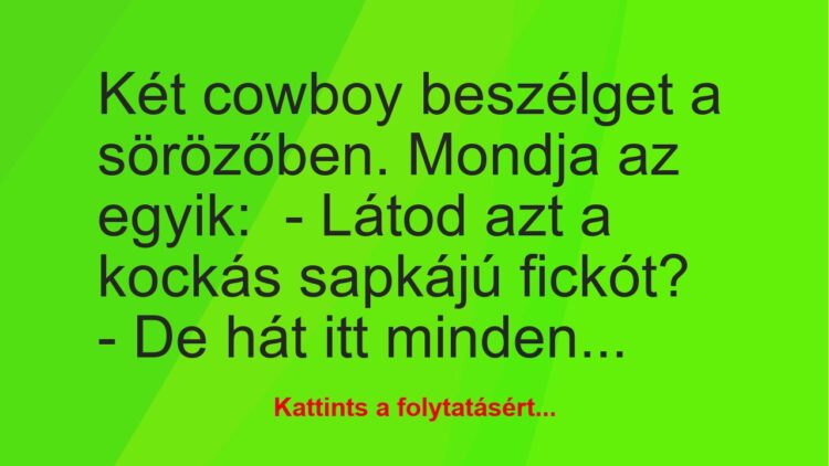 Vicc: Két cowboy beszélget a sörözőben. Mondja az egyik:– Látod azt a…