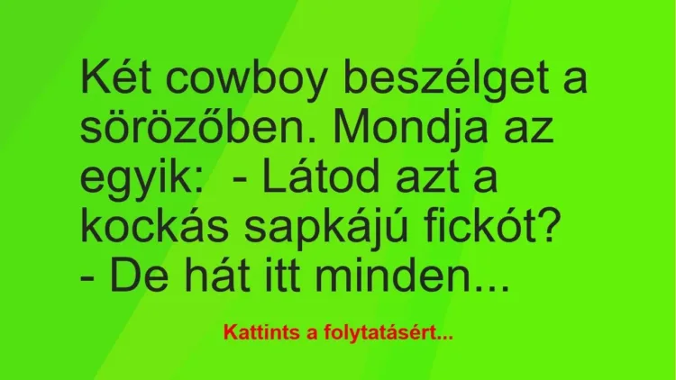 Vicc: Két cowboy beszélget a sörözőben. Mondja az egyik:

– Látod azt a…