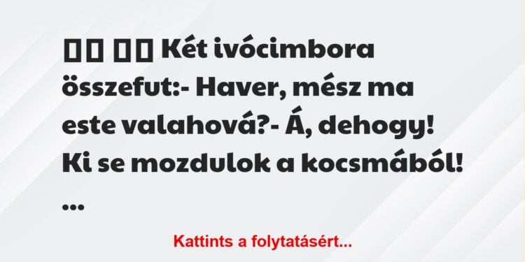 Vicc:
Két ivócimbora összefut:- Haver, mész ma este…