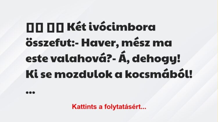 Vicc:
Két ivócimbora összefut:- Haver, mész ma este…