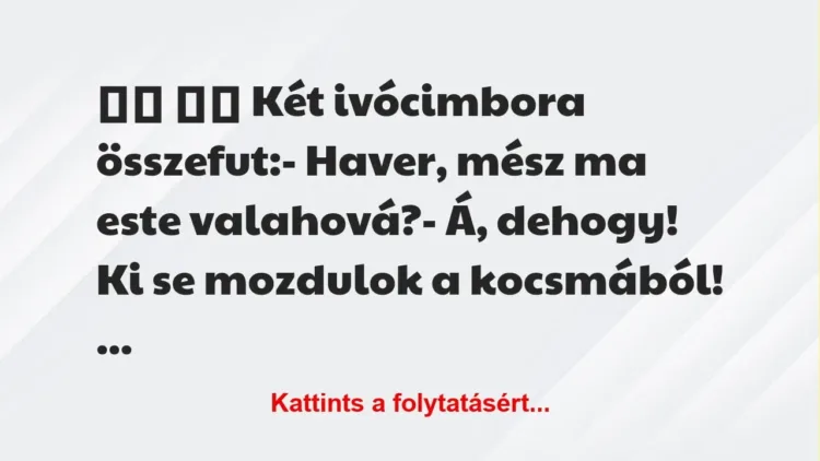 Vicc: 
		  
		  Két ivócimbora összefut:- Haver, mész ma este…