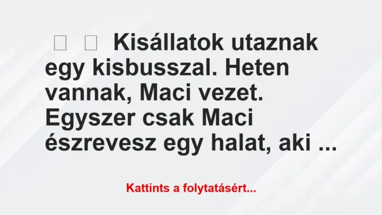 Vicc: 
	    	    Kisállatok utaznak egy kisbusszal. Heten vannak, Maci…