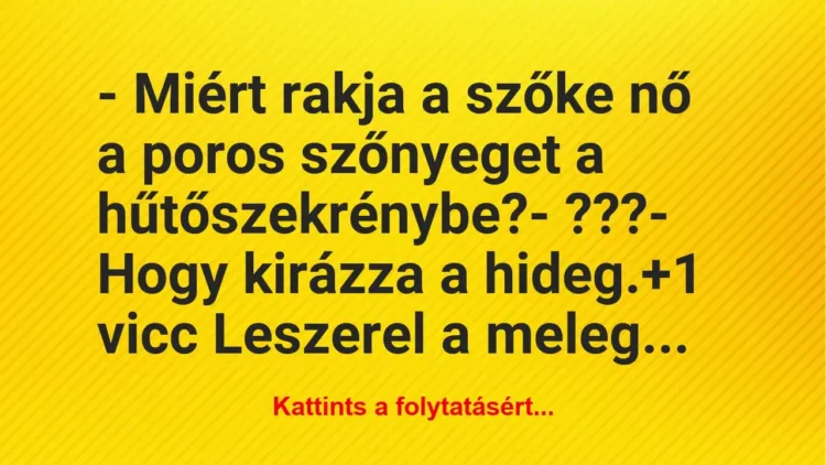 Vicc: – Miért rakja a szőke nő a poros szőnyeget a hűtőszekrénybe?

-…