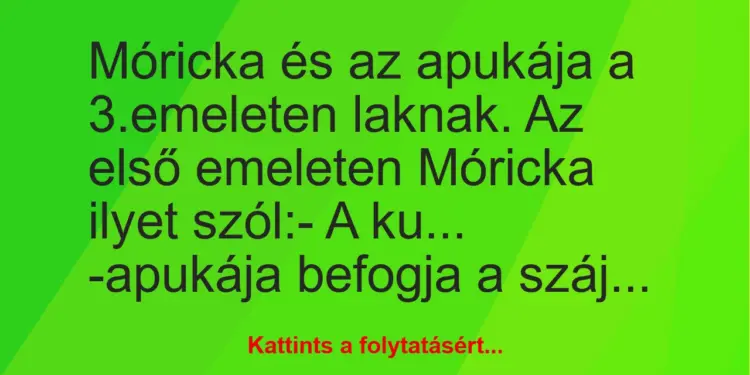 Vicc: Móricka és az apukája a 3.emeleten laknak. Az első emeleten Móricka…