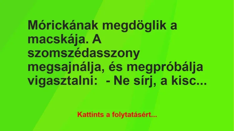 Vicc: Mórickának megdöglik a macskája. A szomszédasszony megsajnálja, és…